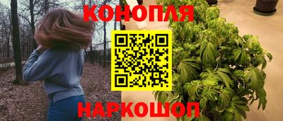 амф Ноябрьск