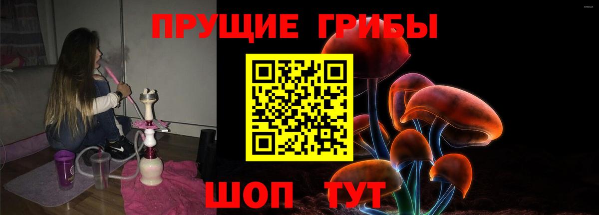 Псилоцибиновые грибы Cubensis Брянск